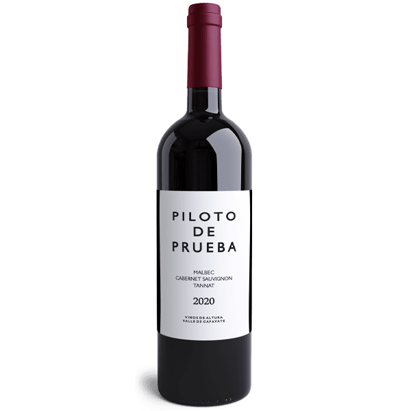 Piloto De Prueba - 2021