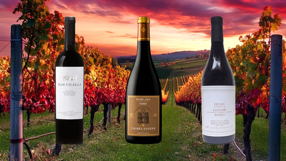 European Harvest Collection - 6 Pack