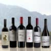 Calchaqui Valley Collection 2022 (One Of Each) - Argentina