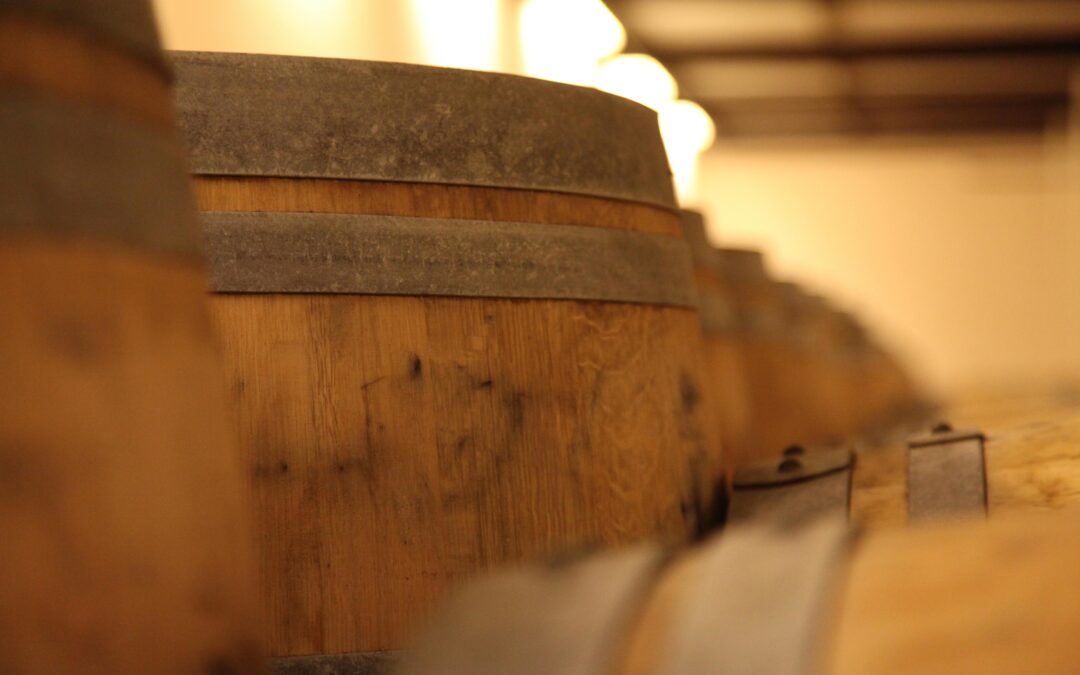 What Should I Tell My Son About Wine, Life, and You