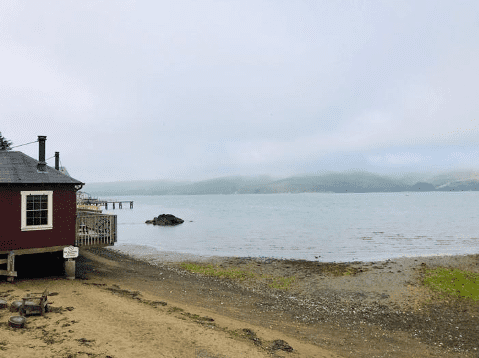 SonomaCoastalFog