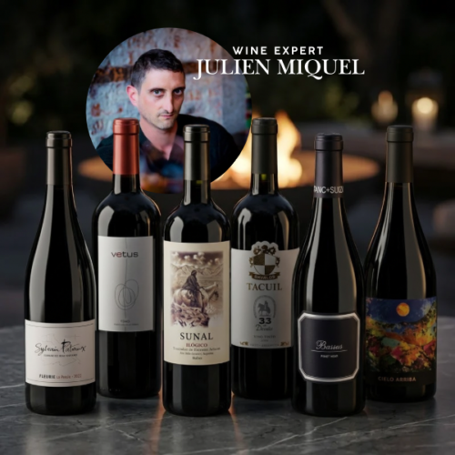 Julien Miquel's 2024 Favorites Collection