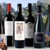 Julien Miquel's 2024 Favorites Collection