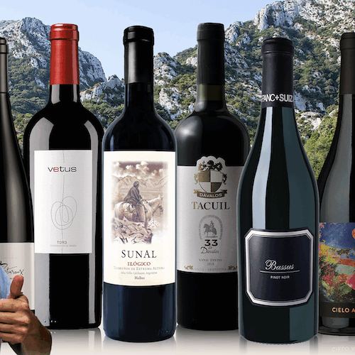 Julien Miquel's 2024 Favorites Collection