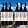 Sunal Ilogico 6 Bottle Subscription