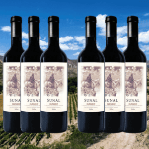 Sunal Ilogico 6 Bottle Subscription