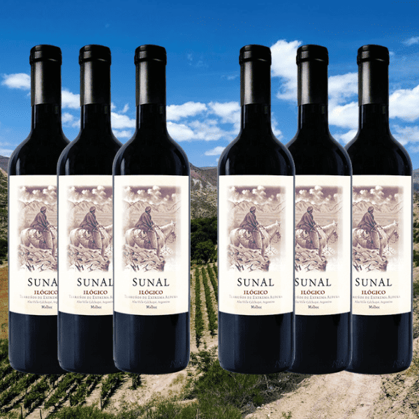 Sunal Ilogico 6 Bottle Subscription