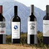 Malbec Day - Explorer’s Reserve Collection - 6 Pack