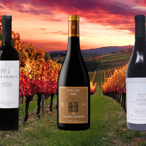 European Harvest Collection - 6 Pack