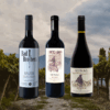 Agustin Lanus Birthday Collection 2025