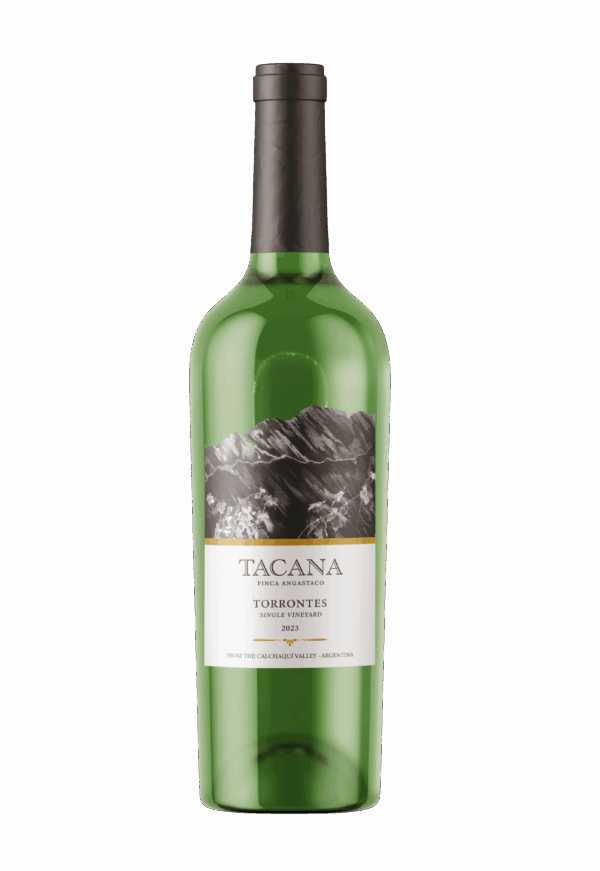Tacana Torrontes 2024