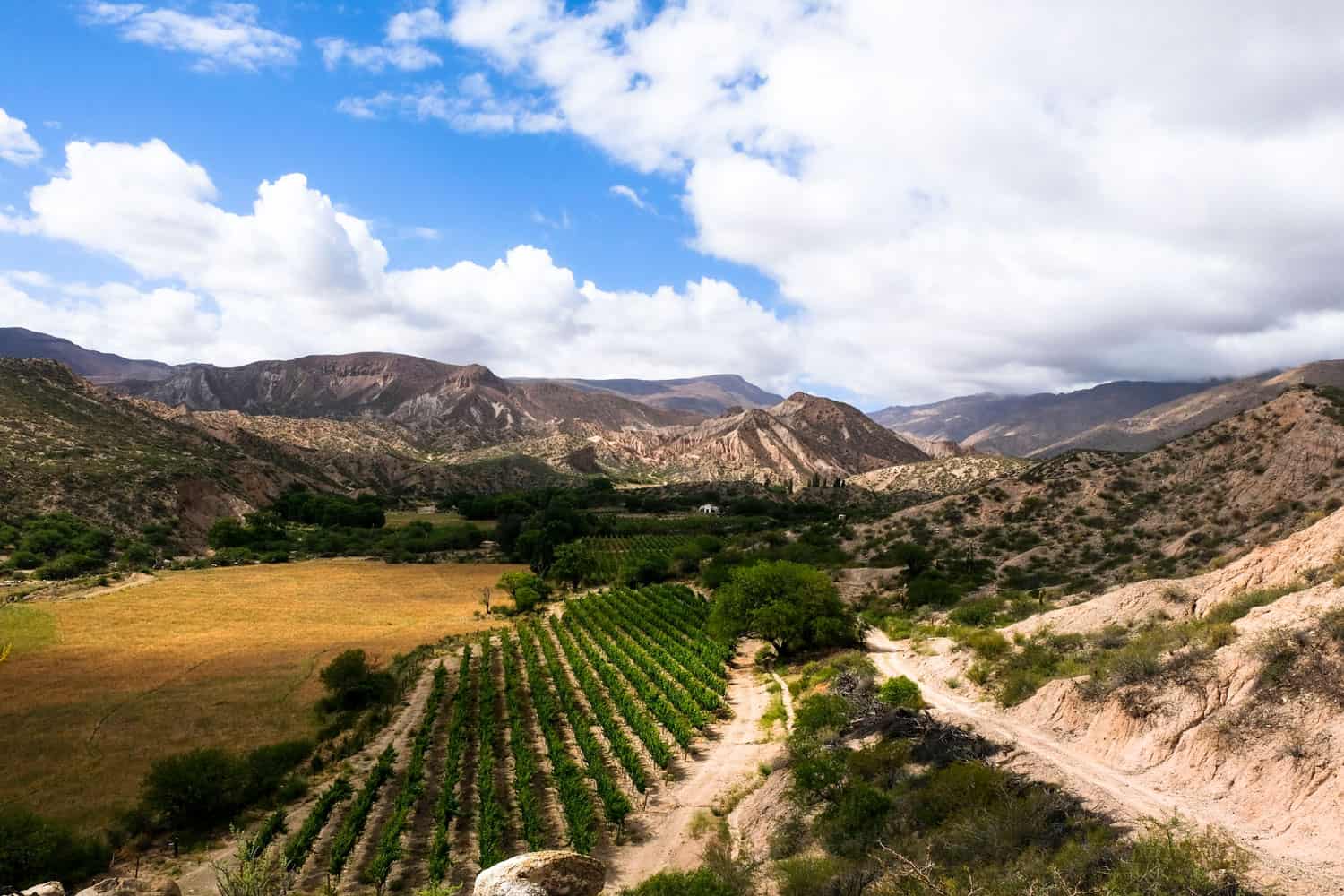 Calchaquí Valley, Argentina