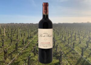 The Gold Medal Saint-Estèphe That Overdelivers