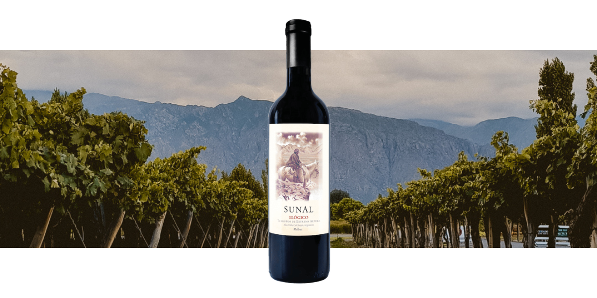 Sunal Ilógico Malbec 2019