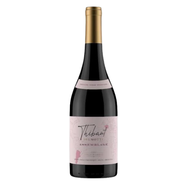 Diseño sin título - 11 Familia Delmotte GSM Tinto 2024