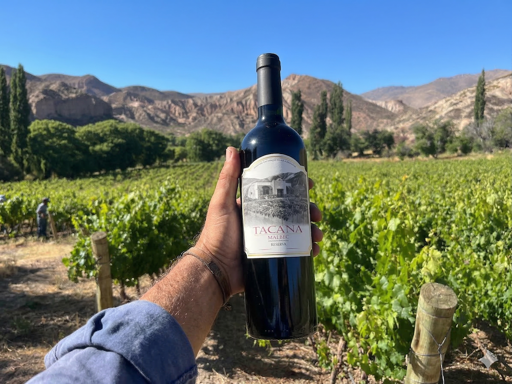 Tacana Reserva 2024