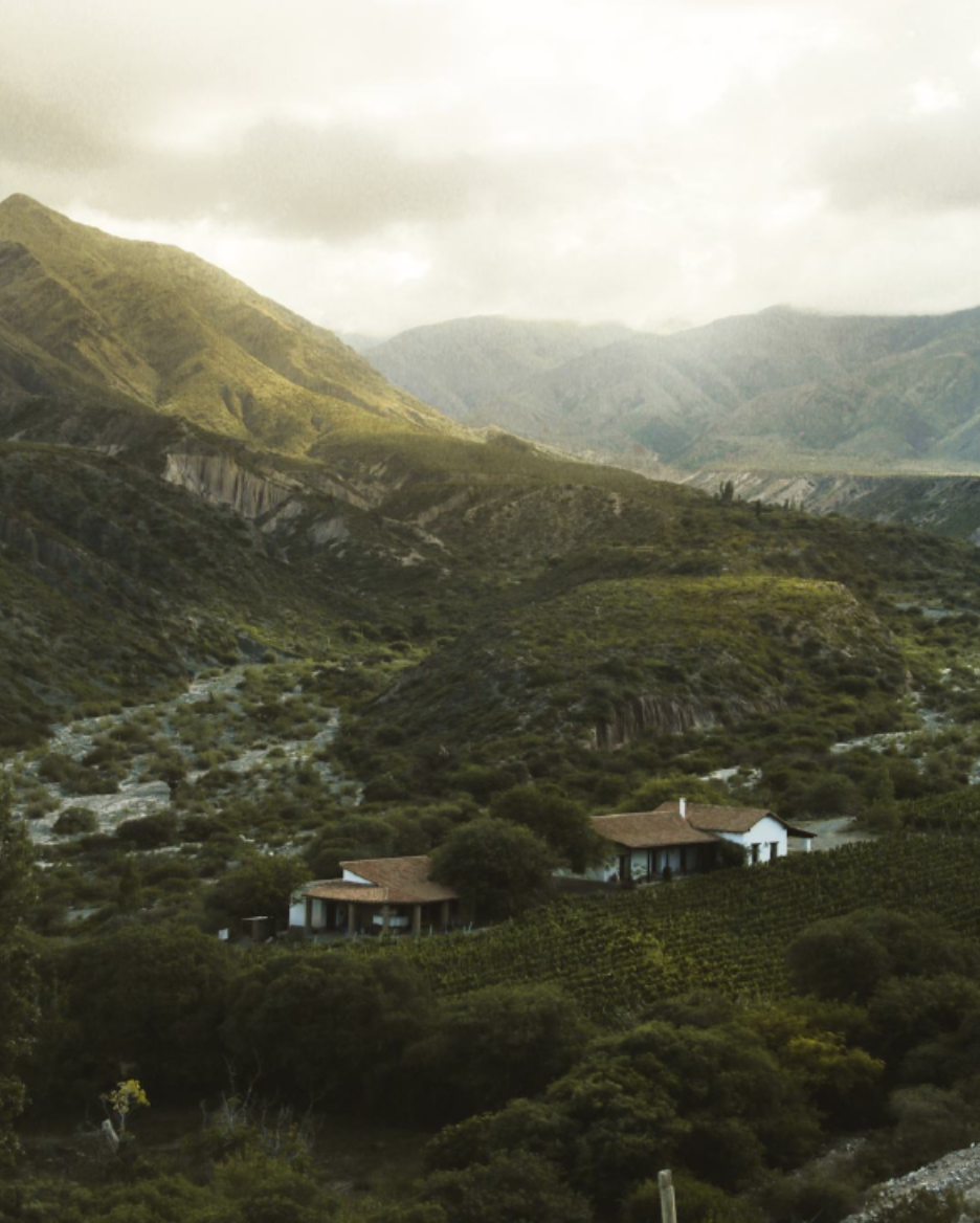 Remote Andes vineyard landscape