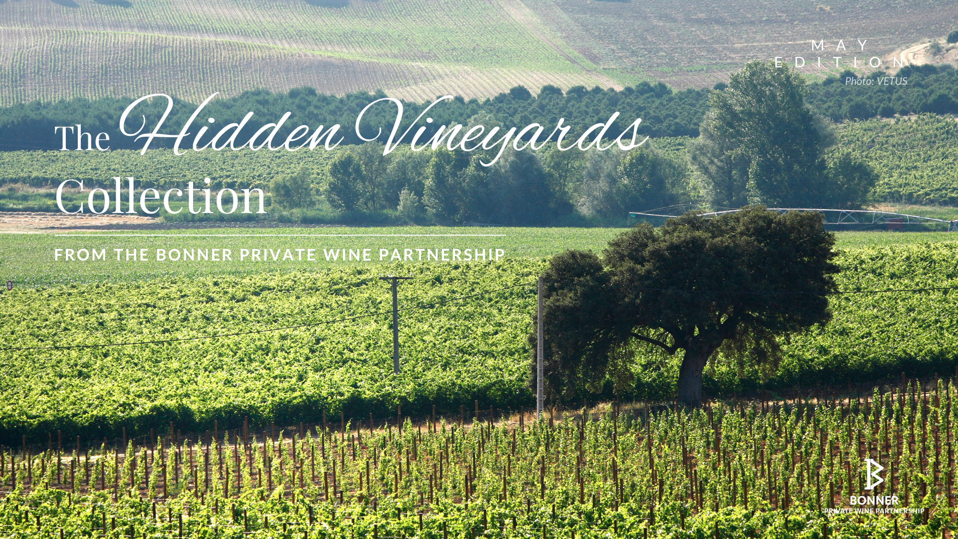 Hidden Vineyards: May 2026 Booklet