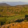 The Wine Explorer's Club - Fall French Collection