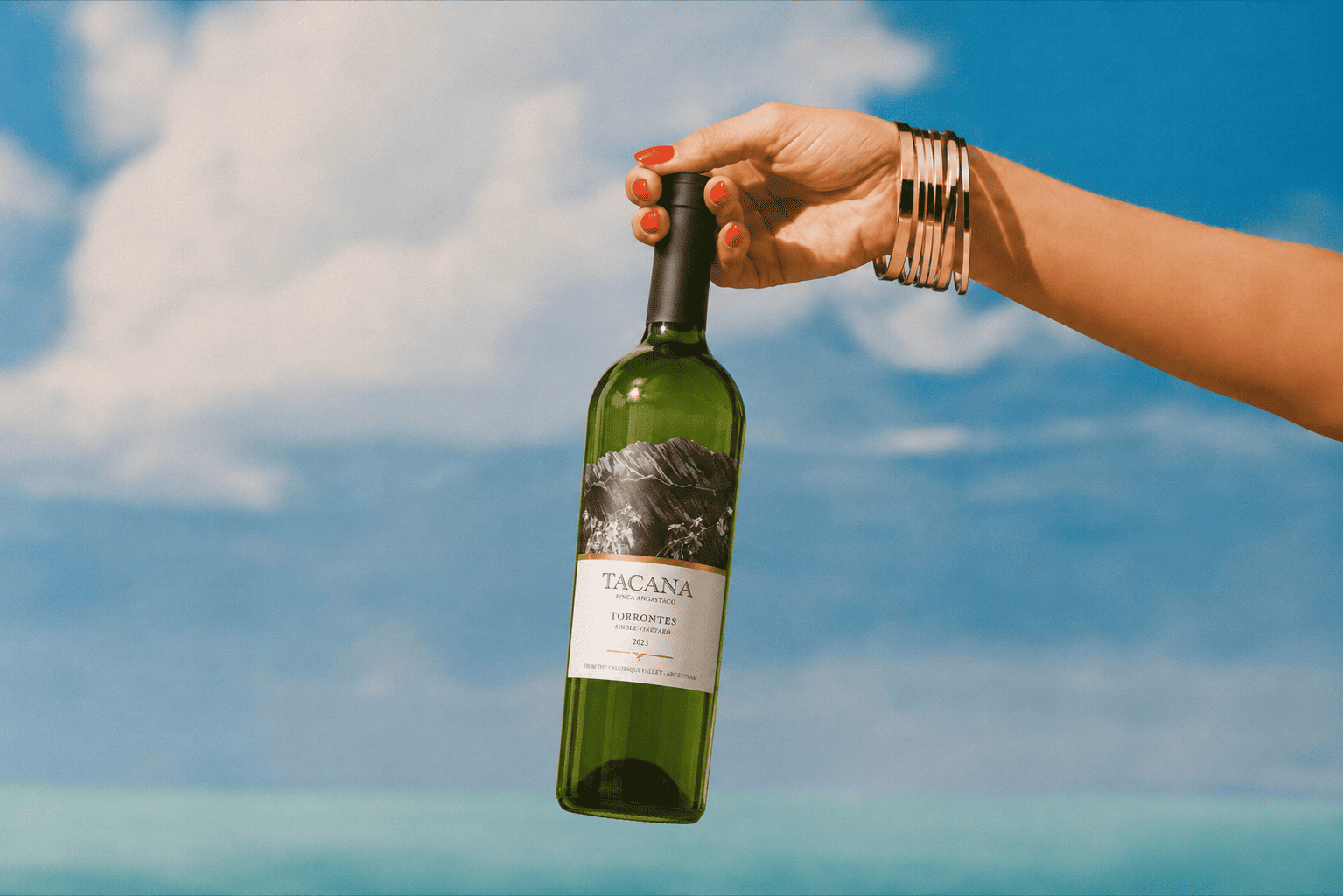 Tacana Torrontés, a dry high-altitude white from the Calchaquí Valley, styled for summer