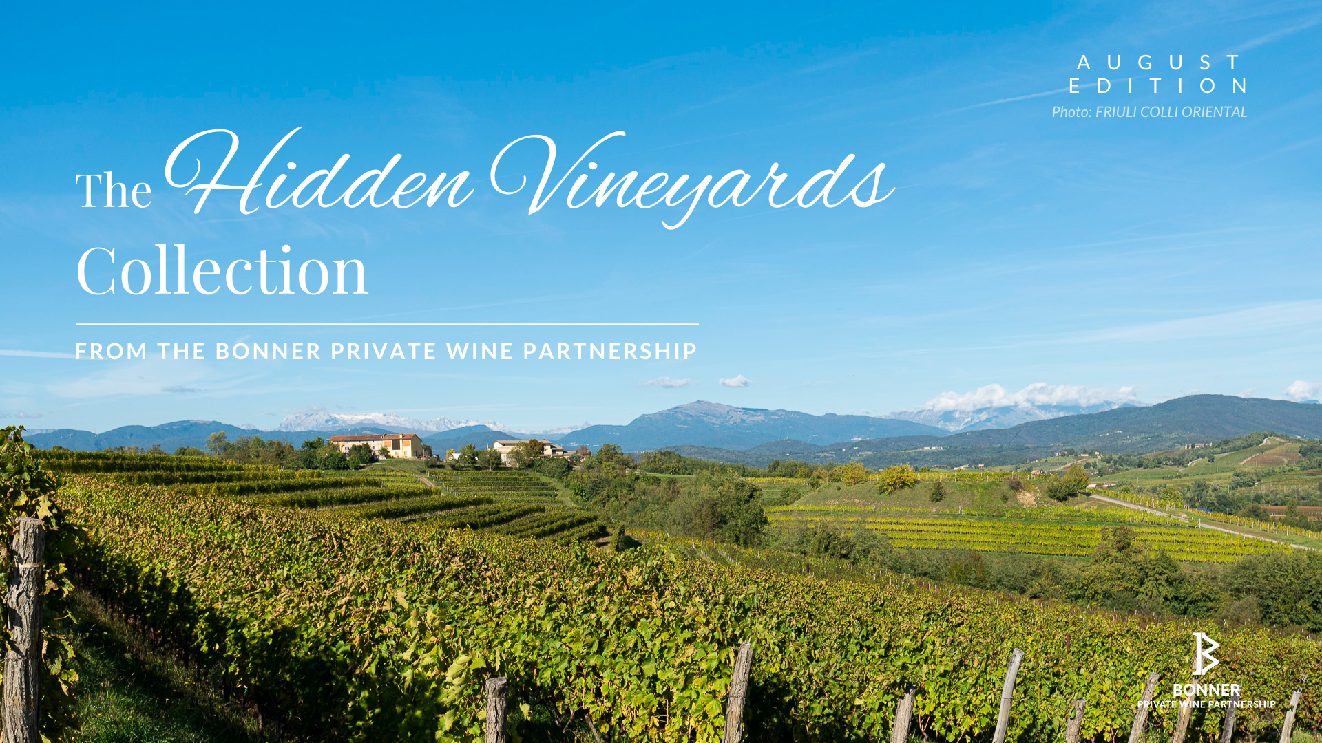 Hidden Vineyards: August 2026 Booklet
