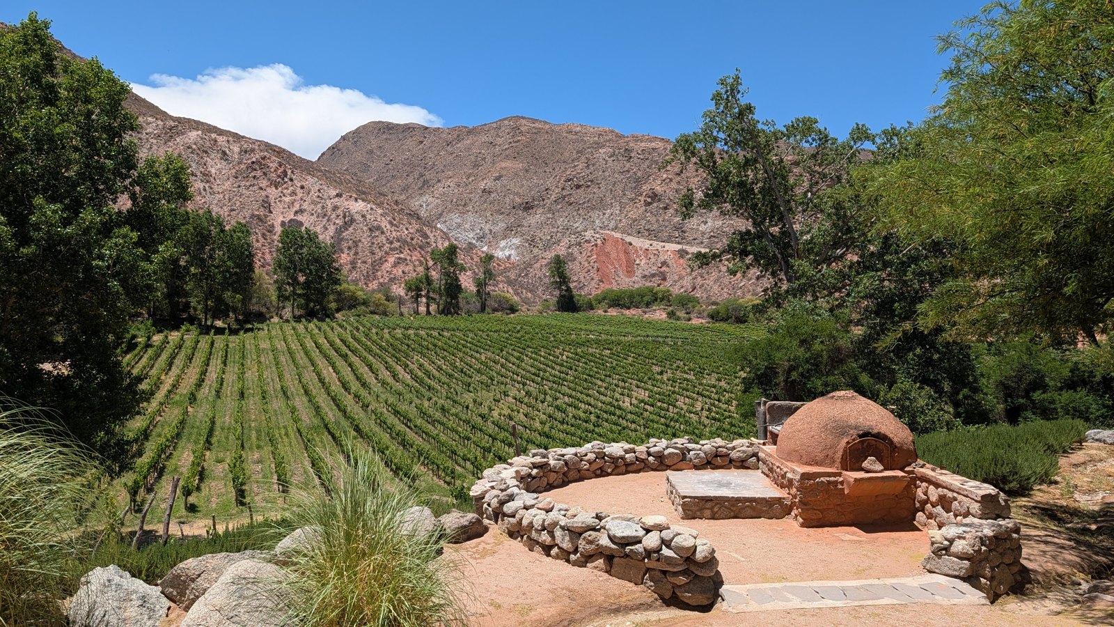 The vineyard at Bodega Tacuil, Molinos