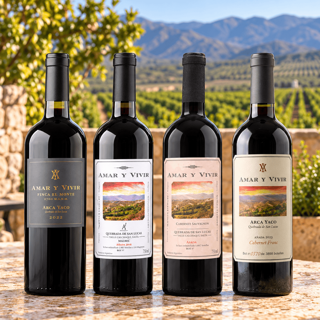 The four new Arca Yaco wines standing in the vineyard: Amar y Vivir Malbec, Cabernet Sauvignon, Cabernet Franc and Finca El Monte