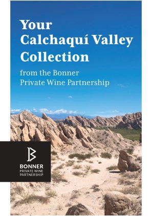 Discover Your Calchaquí Valley Collection 2022 (Digital Booklet)